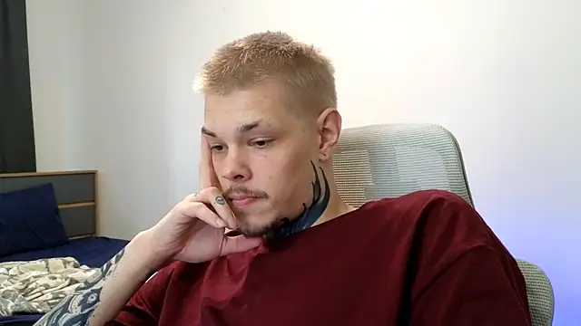 DENIS_HERE webcam