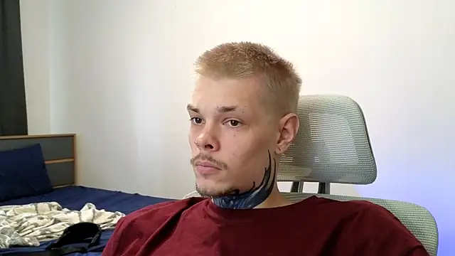 DENIS_HERE webcam