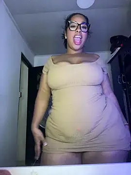 NV-Nikoll webcam