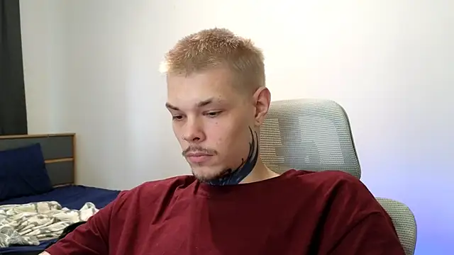 DENIS_HERE webcam