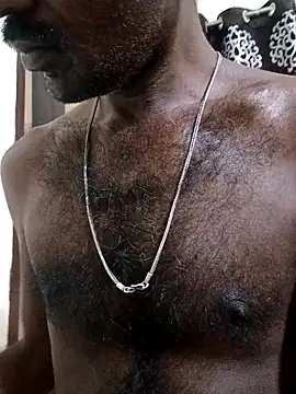 Chocolate_stud10