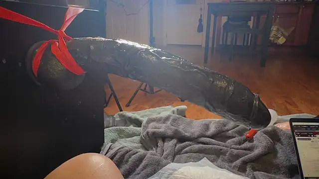 ffruityboy webcam