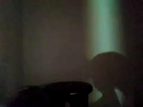 Kartucho06 webcam
