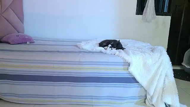 Eva_sin18