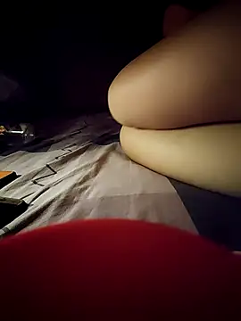 -Tara-a webcam