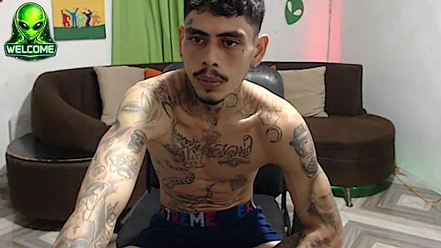 alpha_zom webcam