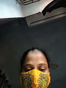 Hansikatelugu webcam