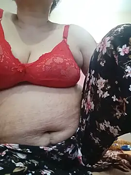 Mini_ara webcam