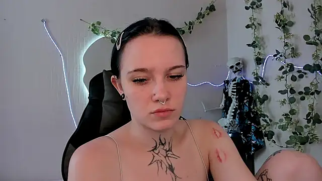 Elastikisss webcam