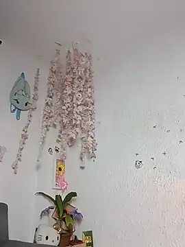 Kuutar webcam