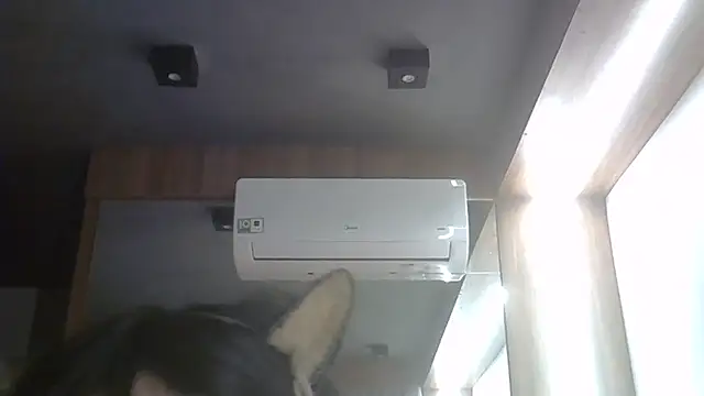 SkinnyKitten webcam