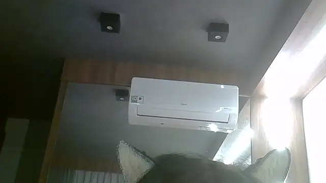 SkinnyKitten webcam