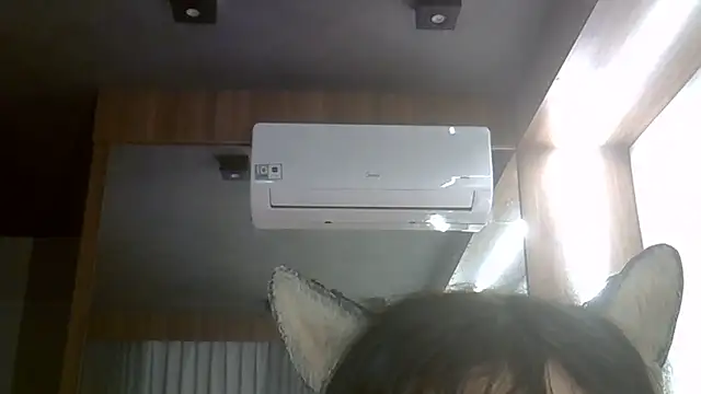 SkinnyKitten webcam