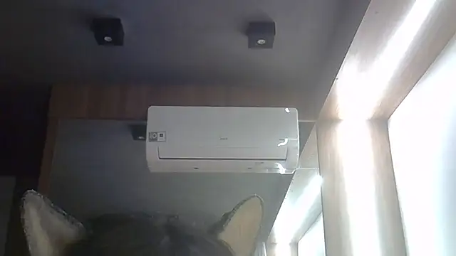 SkinnyKitten webcam