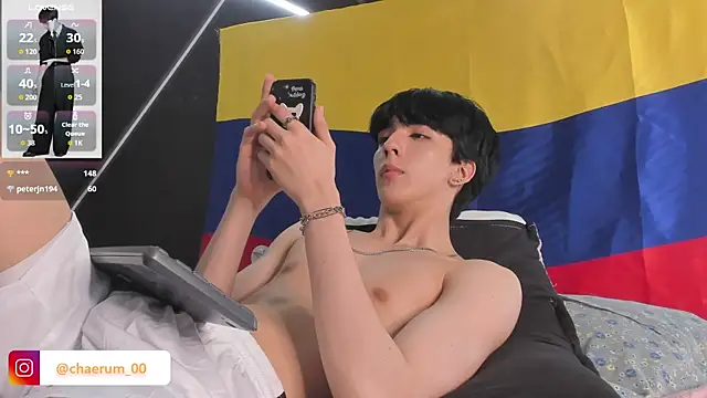 AerumChae webcam