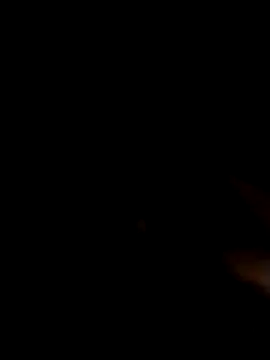 jellydicks webcam