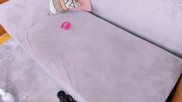 DreamSlick webcam