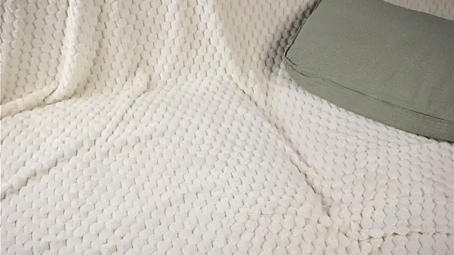 CaseyMulders webcam