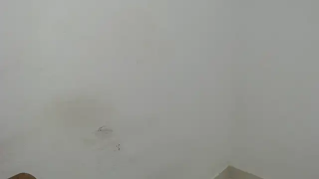 estefania224 webcam