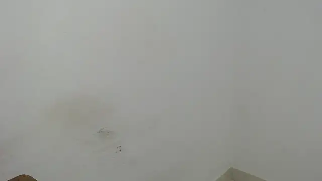 estefania224 webcam