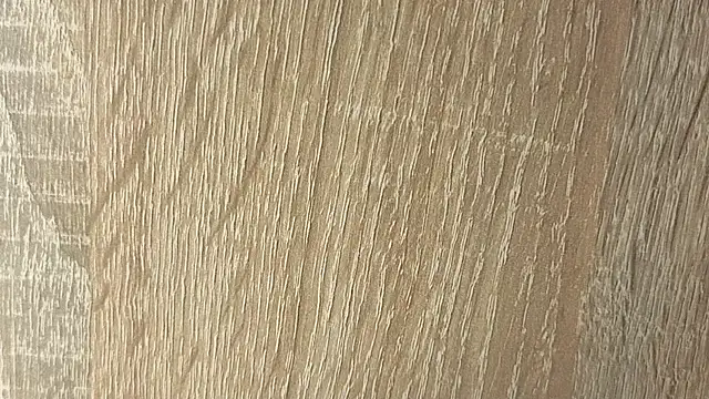 NoFace_Model webcam