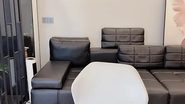 lvy-w webcam