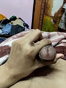 saneer69tew