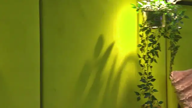NattyDevon