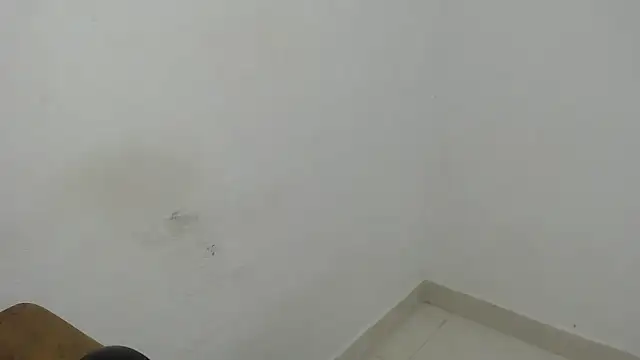 estefania224 webcam