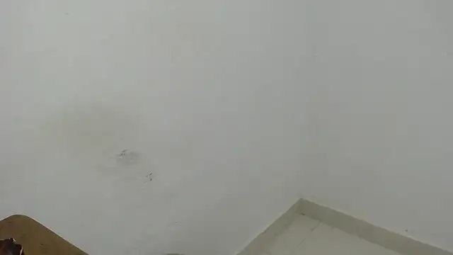 estefania224 webcam