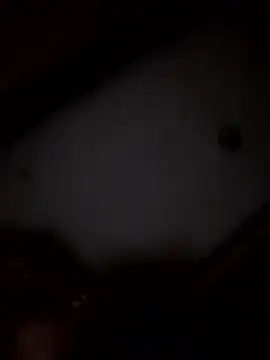 lindaandtony webcam