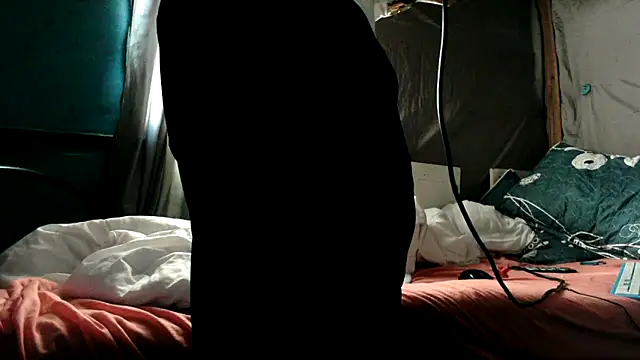 Camodick webcam