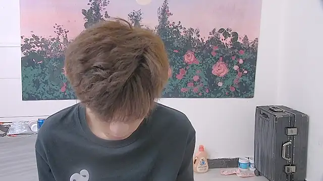 paofu-001 webcam