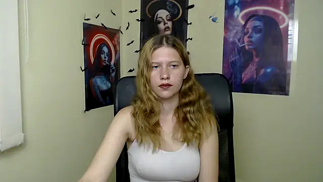 StellaCRL webcam