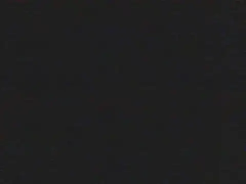 shugabaibe webcam