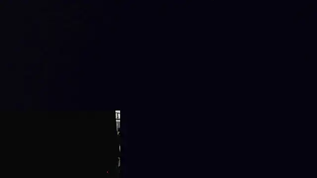 Sinstresshemlock webcam