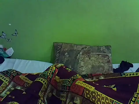 Drip_Ashiana webcam