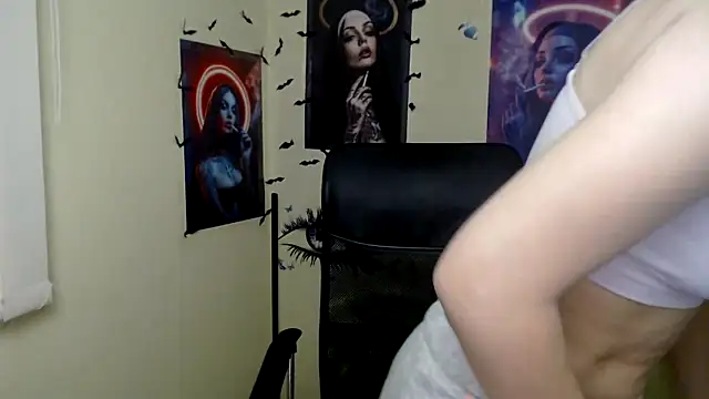 StellaCRL webcam