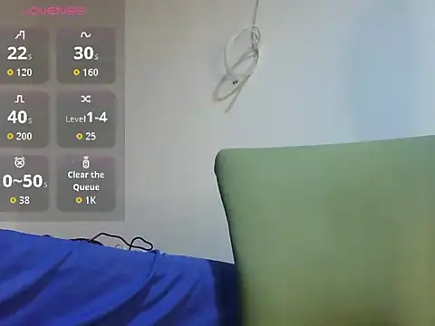 Keiviid webcam