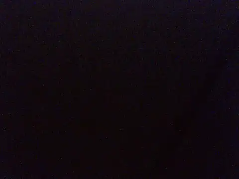 pietje1991 webcam