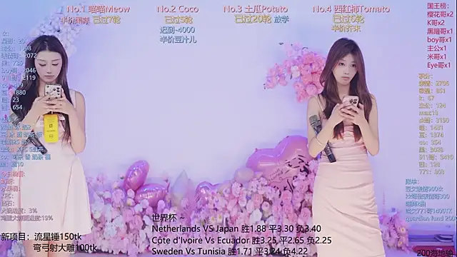 SSF-888 webcam