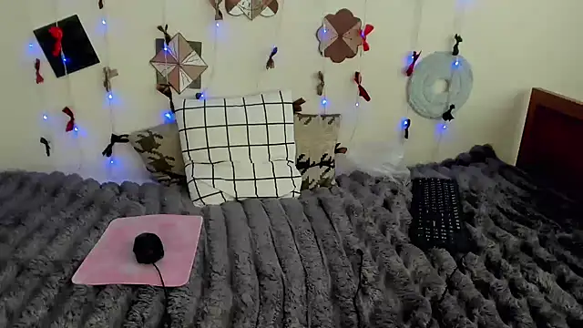 Vedime webcam