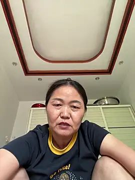 hannzn webcam