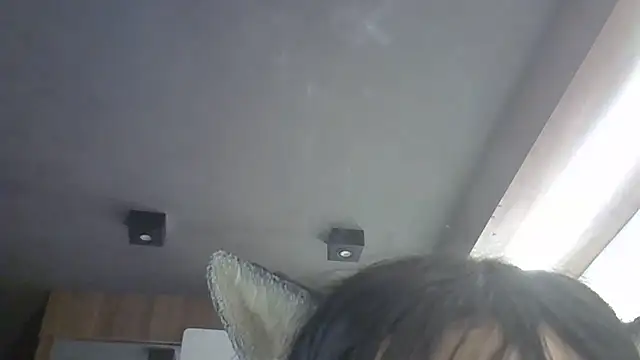 SkinnyKitten webcam