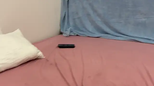 leesmoke webcam