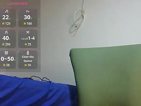 Keiviid webcam
