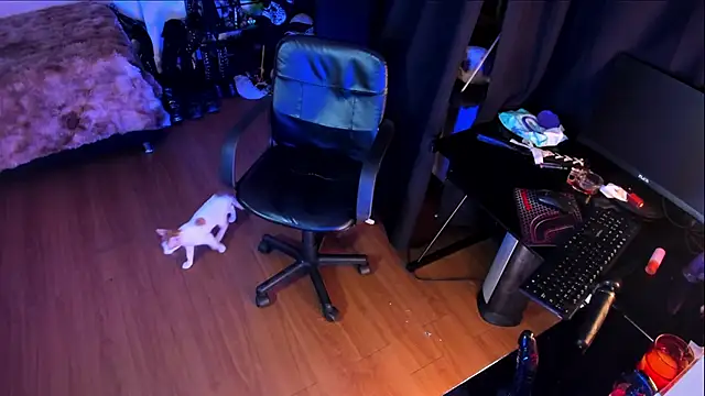 kattx_ webcam