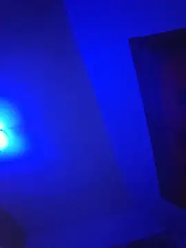 tattscast webcam