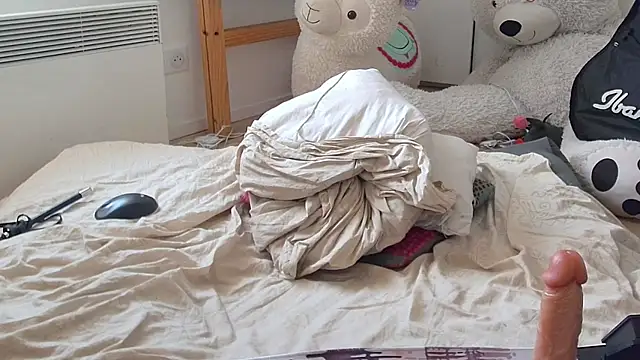 CeriseLapine webcam