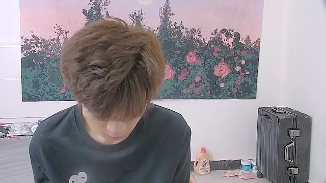 paofu-001 webcam